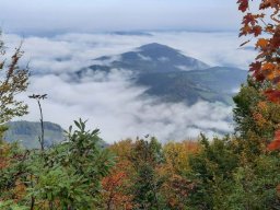 2021 Muckenkogel (16)